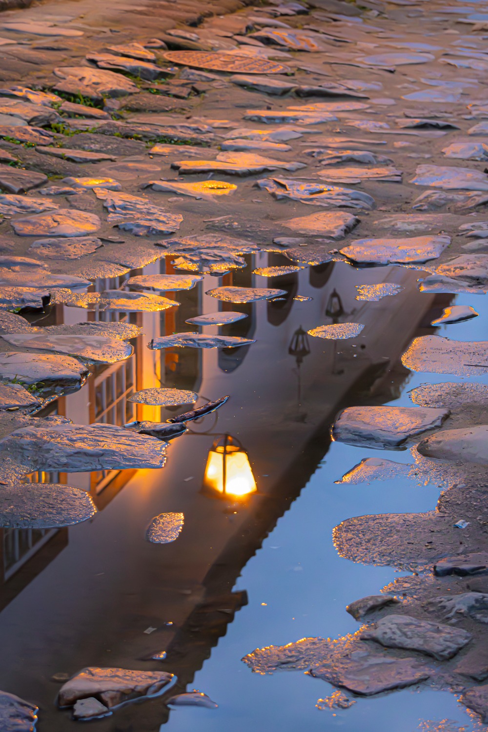 Reflexos na água