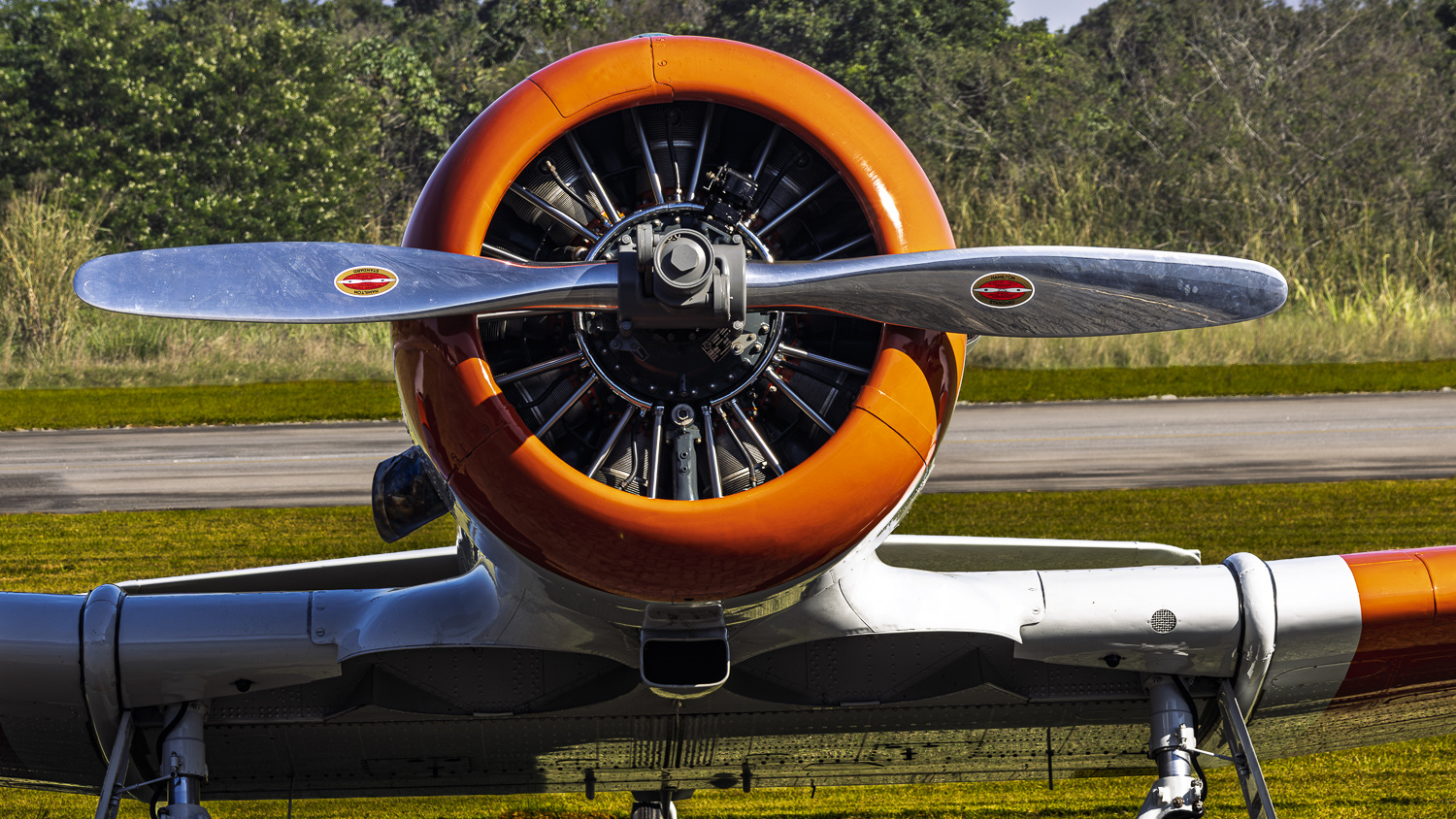 Aviação — fotografia 01