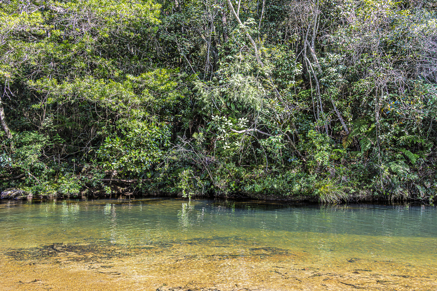 Natureza — Plácido