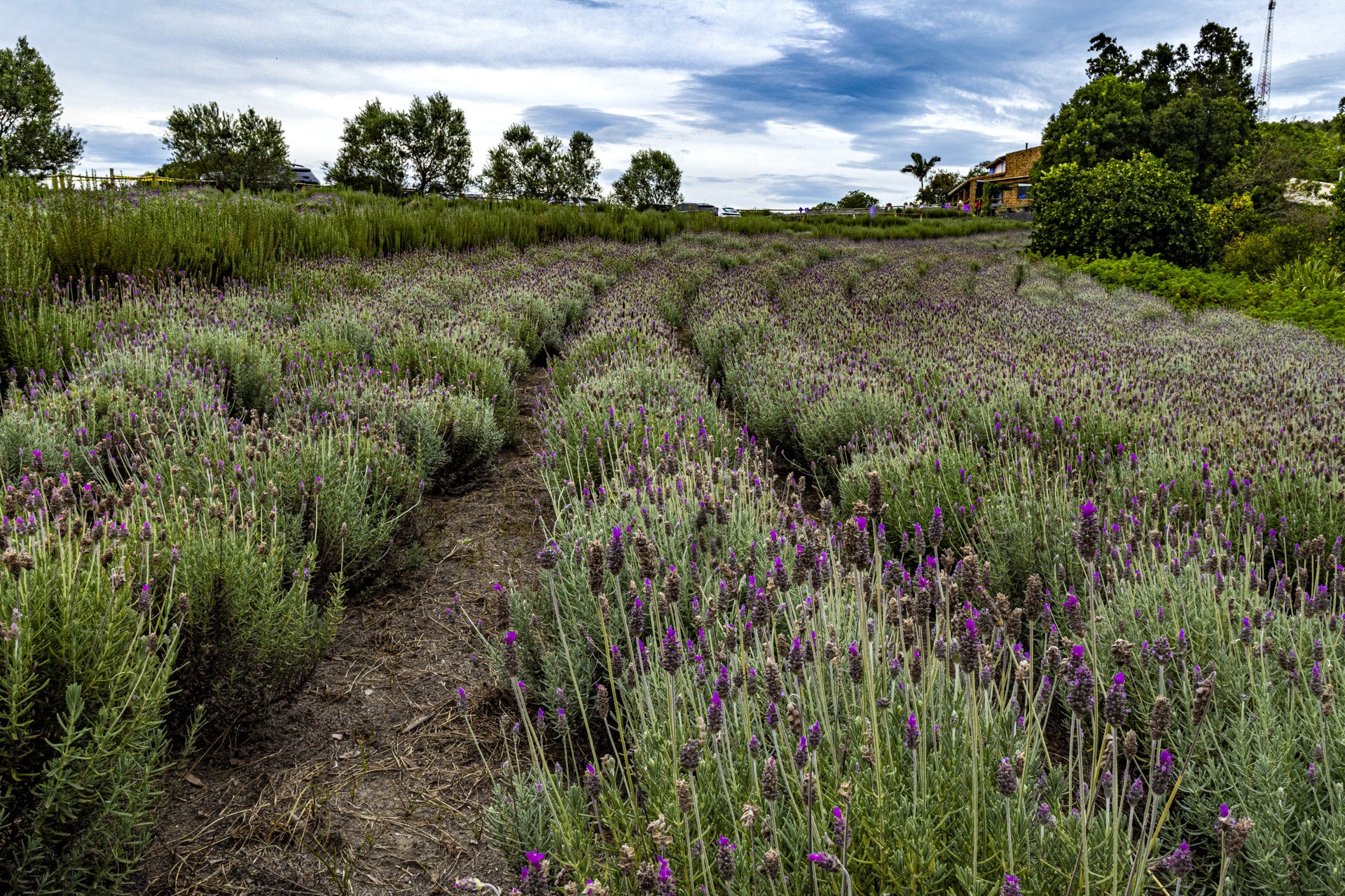 Paisagens — fotografia 03